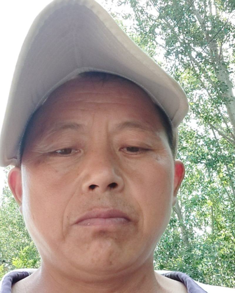 蝉蜕特惠规格齐全超高性价比24小时在线服务