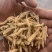 福建麦冬干净无杂质质量保证量大从优欢迎咨询