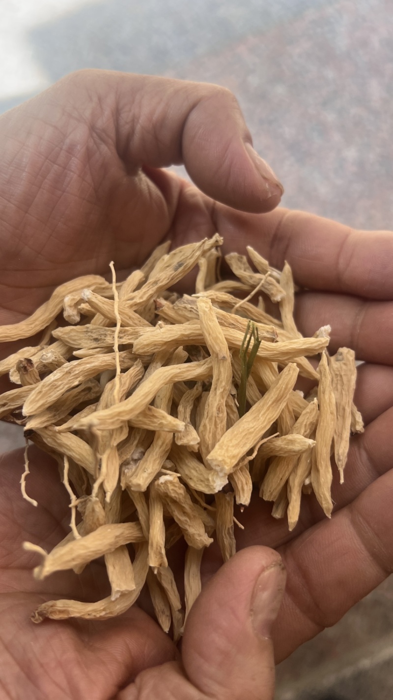 福建麦冬干净无杂质质量保证量大从优欢迎咨询