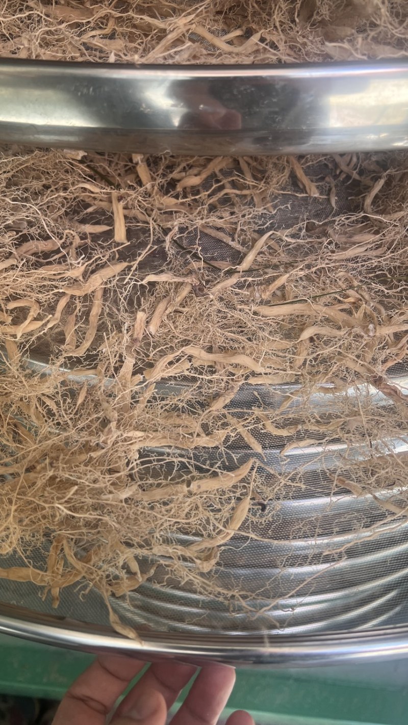 福建麦冬干净无杂质质量保证量大从优欢迎咨询