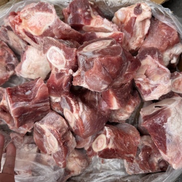 前腿骨