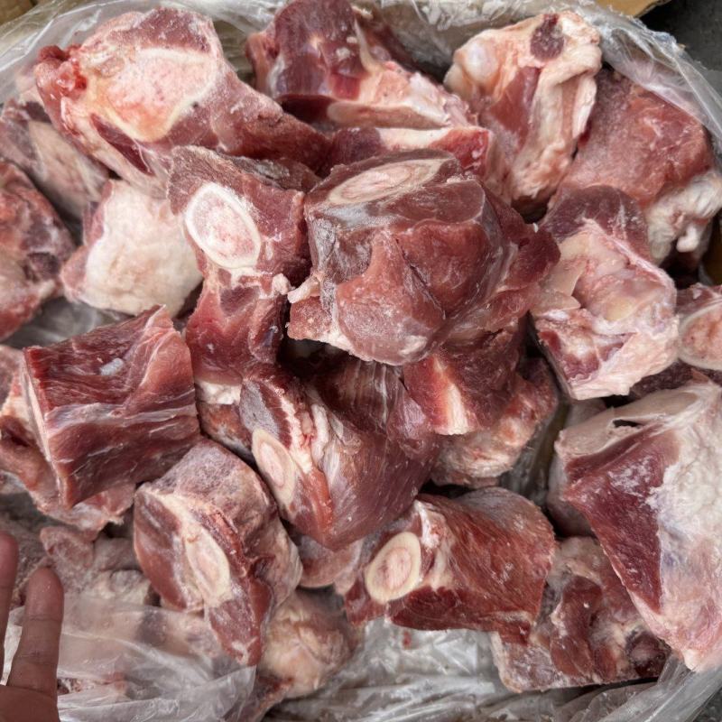 前腿骨