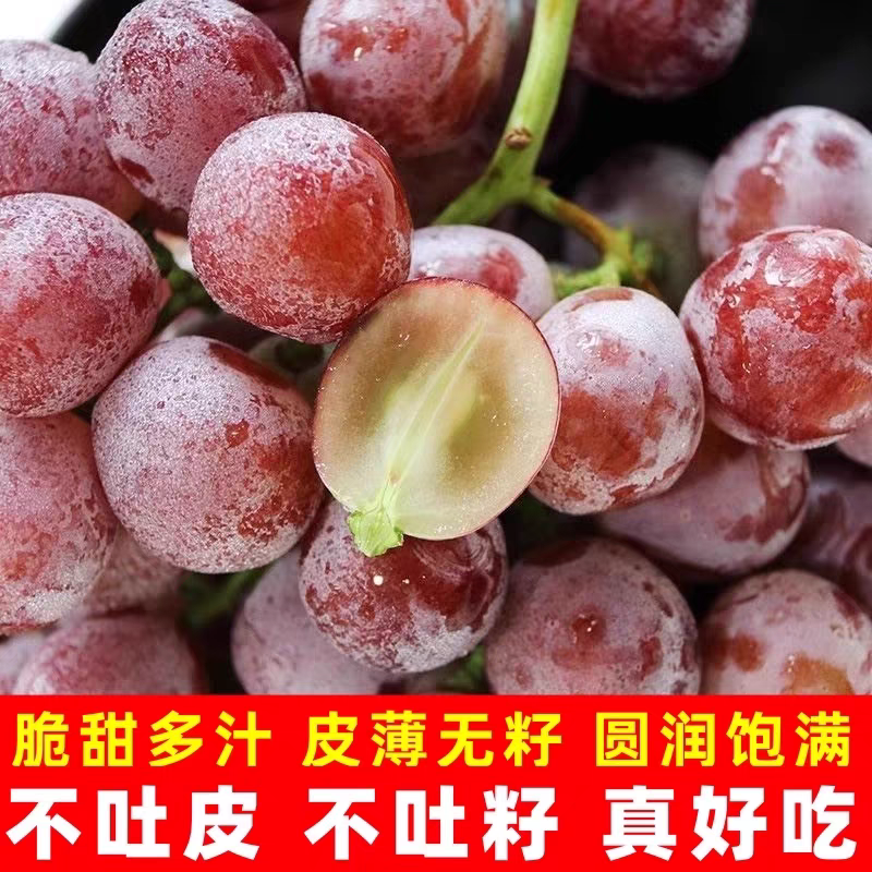 《红提》陕西葡萄/渭南红提/克伦生/产地货源/保质保量