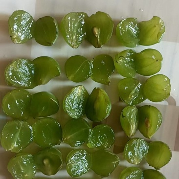 无核巨峰青葡萄