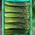 甘肃天水季季鲜信得利精品韭菜花