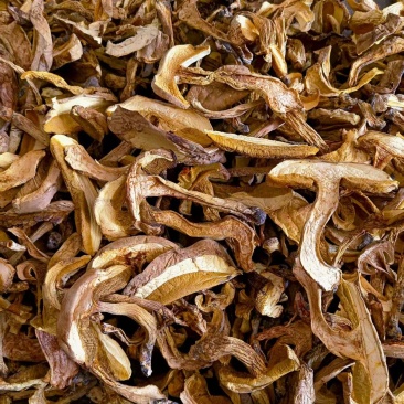 野生黄牛肝机烤干片黄香菌白牛肝菌美味牛肝菌大脚菇产地批发