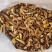 野生黄牛肝机烤干片黄香菌白牛肝菌美味牛肝菌大脚菇产地批发