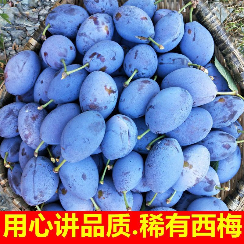 西梅对接各大电商社区团购平台一件代发日供30000单