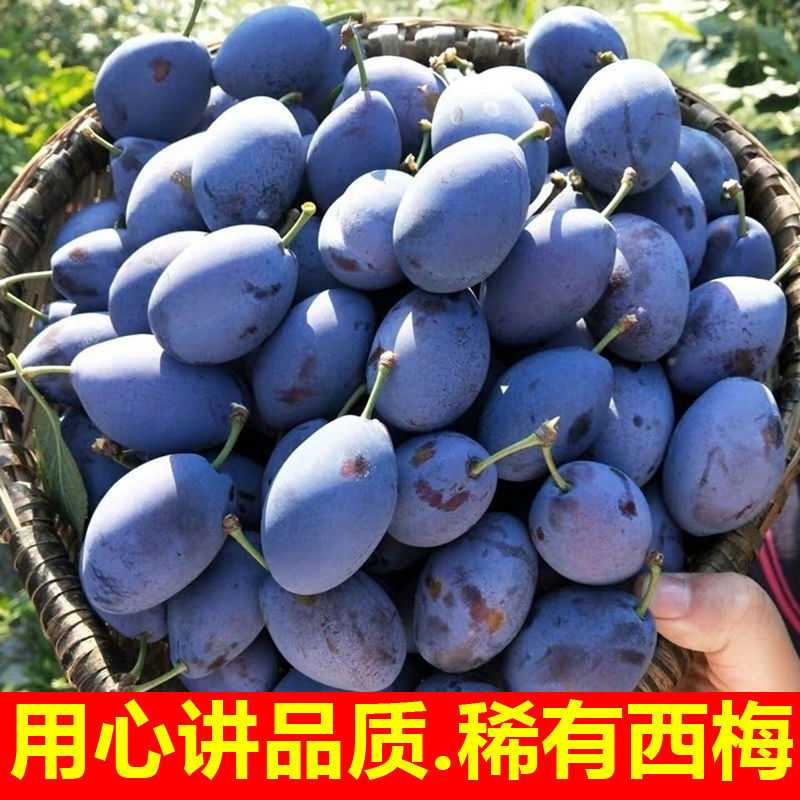 西梅对接各大电商社区团购平台一件代发日供30000单