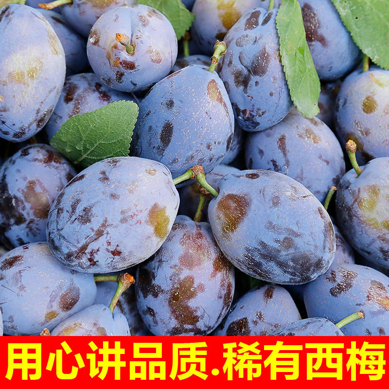 西梅对接各大电商社区团购平台一件代发日供30000单