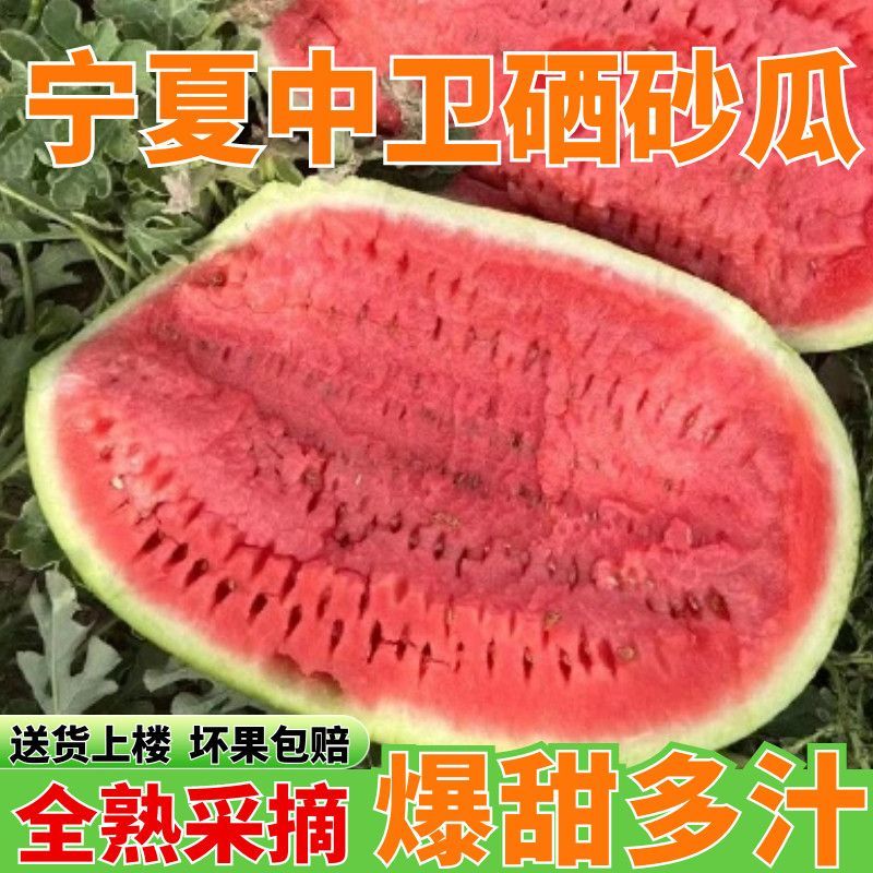新鲜宁夏中卫硒砂瓜石头瓜现摘现发