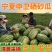 新鲜宁夏中卫硒砂瓜石头瓜现摘现发