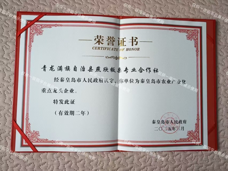 甜杏仁和苦杏仁一手货源诚信合作，量大从优