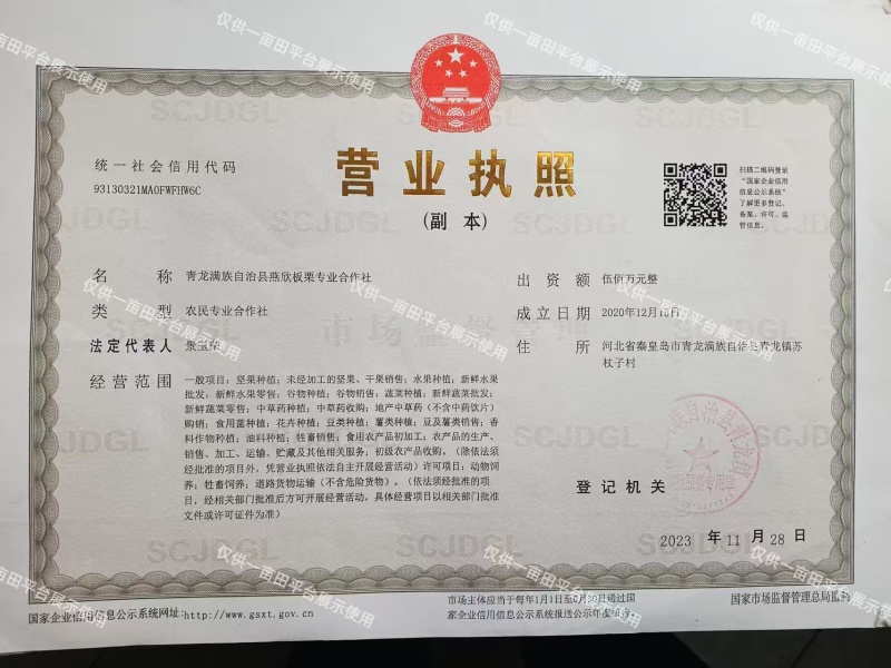 甜杏仁和苦杏仁一手货源诚信合作，量大从优