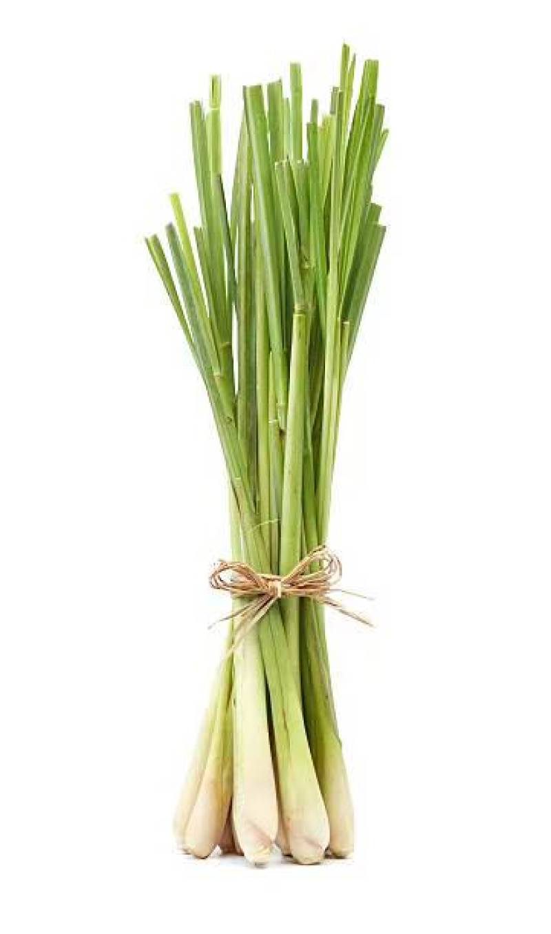 泰式香料香茅