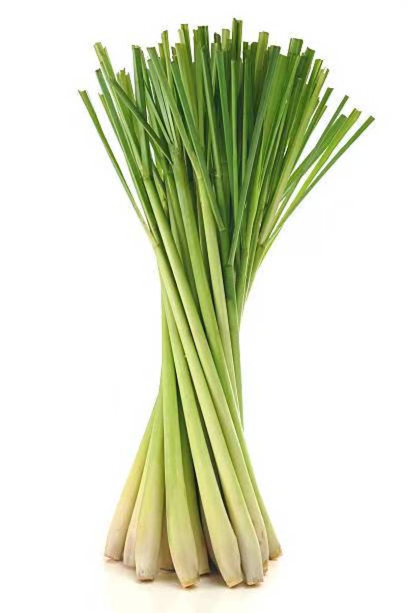 泰式香料香茅