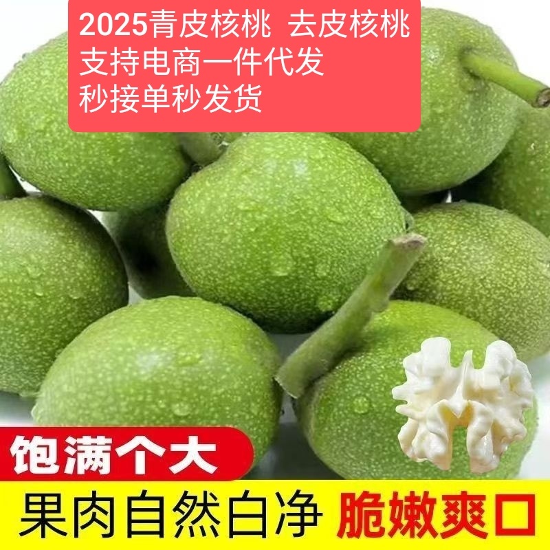 2026青皮核桃高品质支持电商一件代发代办整车发货