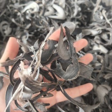 水牛角丝牛角丝祥泰药材栈中药材批发零售实物拍摄