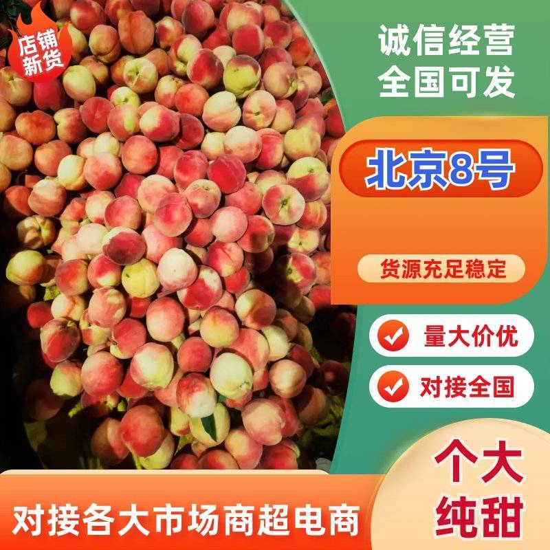 北京8号桃大量有货规格齐全量大从优可对接商超市场
