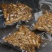 千果林水煮花生225g