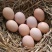 土鸡蛋
