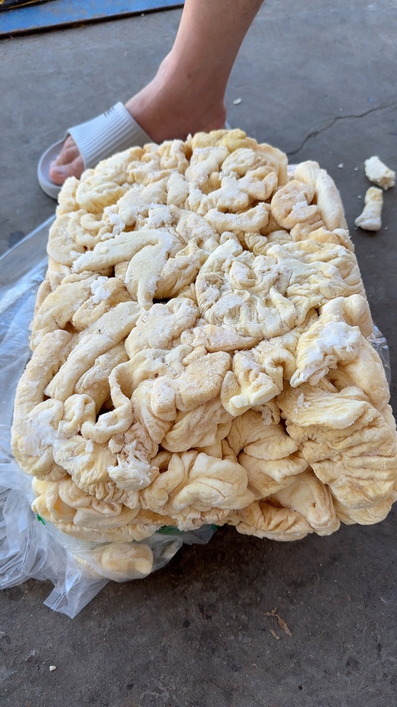 肥猪二级预煮大肠质量如图全国各地发货期待与您的合作