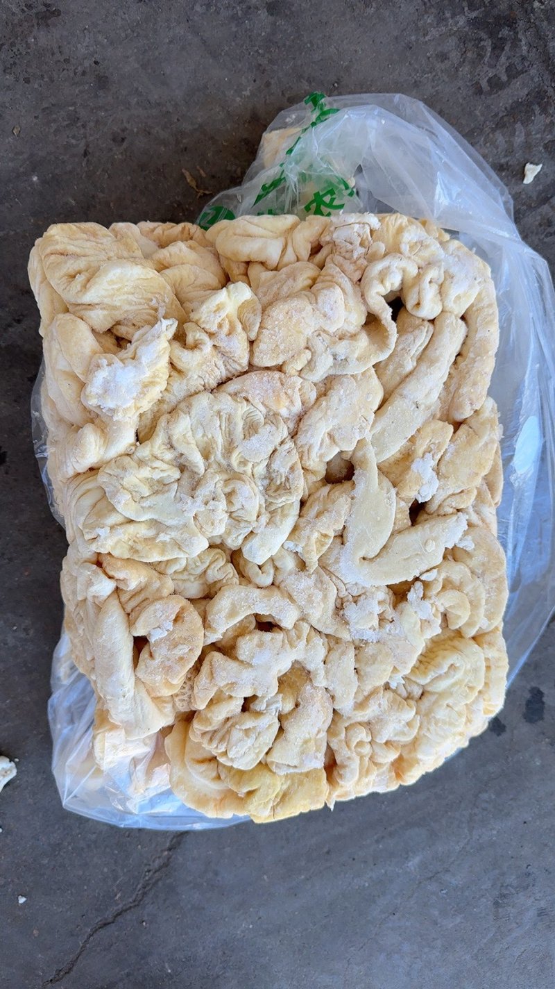 肥猪二级预煮大肠质量如图全国各地发货期待与您的合作
