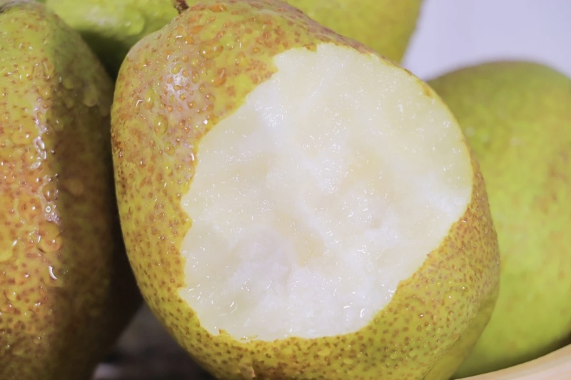 河南洛阳自家红香酥梨