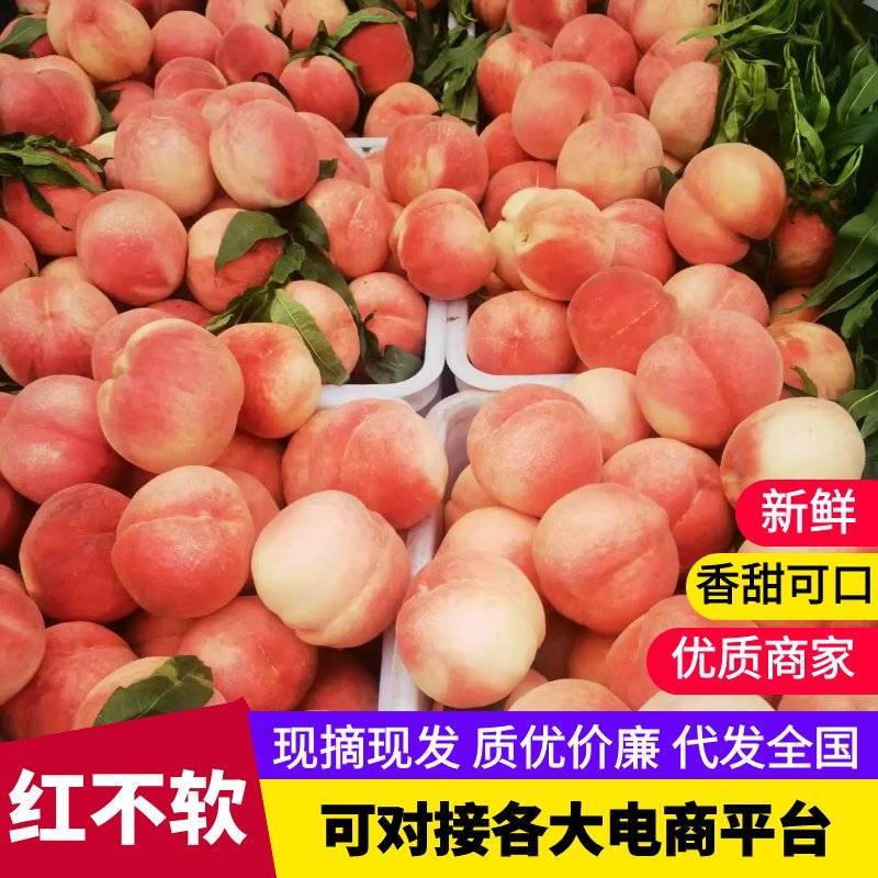 【实力推荐】红不软桃，阿布白，秦王脆甜桃纸袋，膜袋都有货