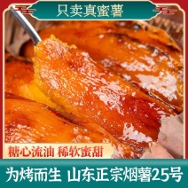 山东烟薯25号产地一手货源，千亩红薯基地，各种规格都有