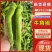 【品质保障】陕西牛角椒基地直供对接全国批发电商商超
