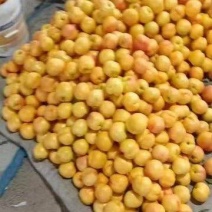 黄油桃