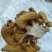 东北长白山特产榆黄蘑干鸡油菌黄金菇黄丝菌煲汤