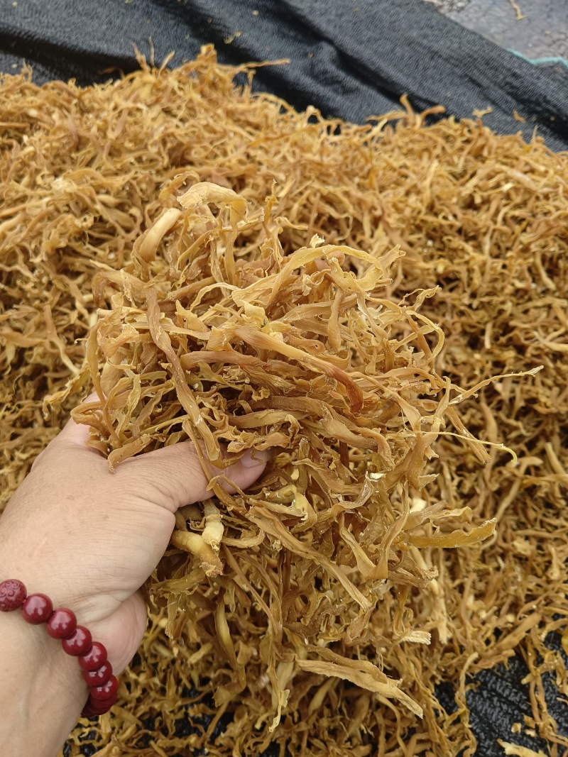 八渡笋鲜笋，干笋丝，酸笋季节又开始了