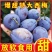 西梅对接各大电商抖音快手视频号一件代发