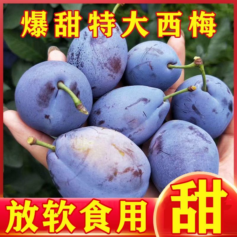 西梅对接各大电商抖音快手视频号一件代发