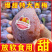 西梅对接各大电商抖音快手视频号一件代发