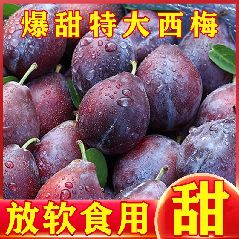 西梅对接各大电商抖音快手视频号一件代发