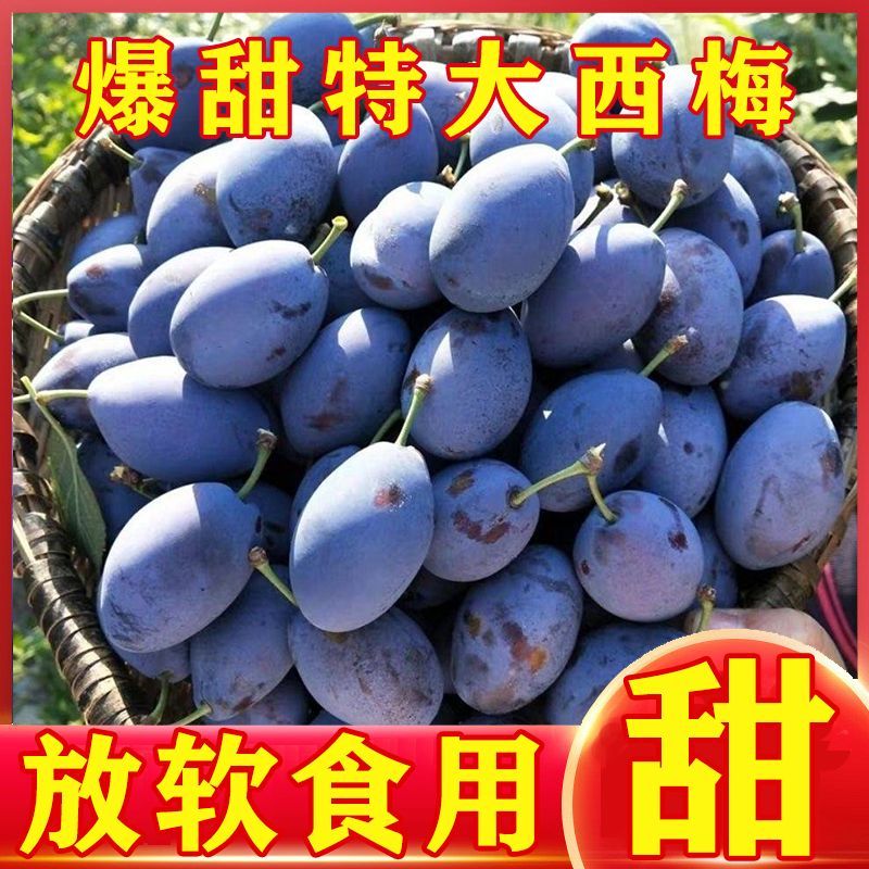 西梅对接各大电商抖音快手视频号一件代发