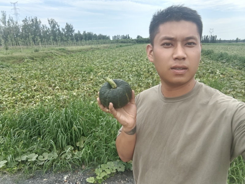 自家种植贝贝南瓜