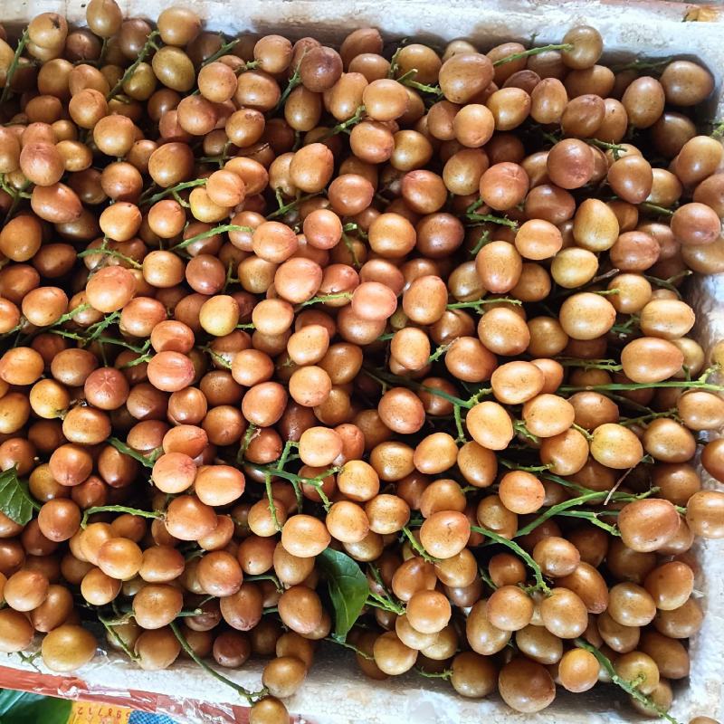 黄皮果