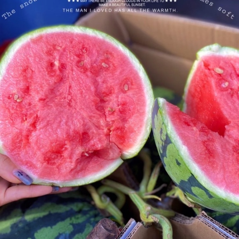 宁夏精品硒砂瓜石头瓜大量上市品质保证量大从优一手货源