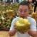 金枕榴莲一手批发价格