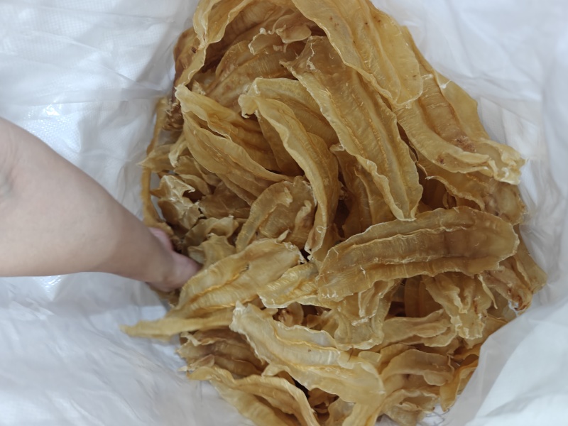 北海公胶苏里南北海公花胶鱼胶胶质好批发
