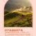 怀化高山黄桃精选大果