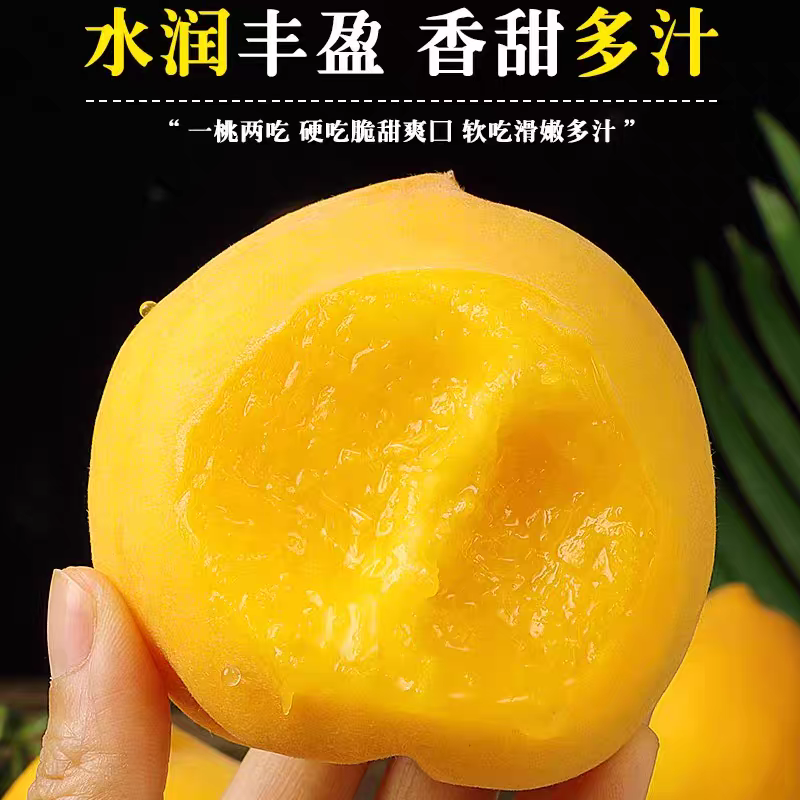 怀化高山黄桃精选大果