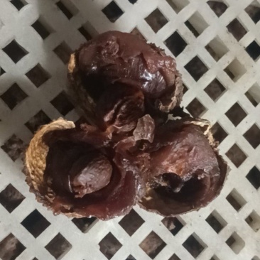 桂味荔枝干