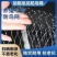 尼龙材质果园防鸟网樱桃葡萄防护网