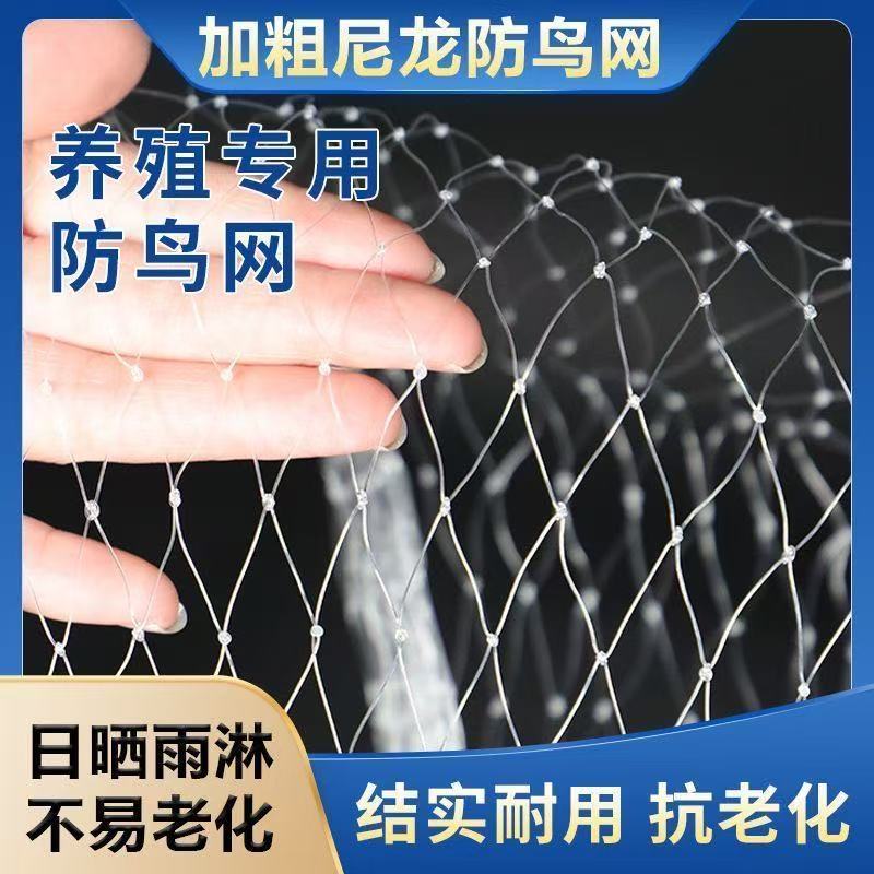 尼龙材质果园防鸟网樱桃葡萄防护网