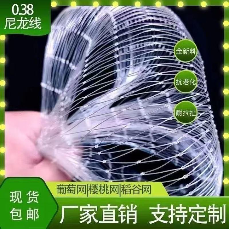 尼龙材质果园防鸟网樱桃葡萄防护网
